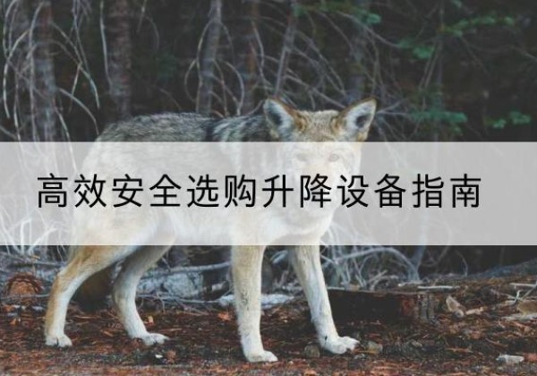 孝义升降货梯厂家推荐-*安全选购升降设备指南