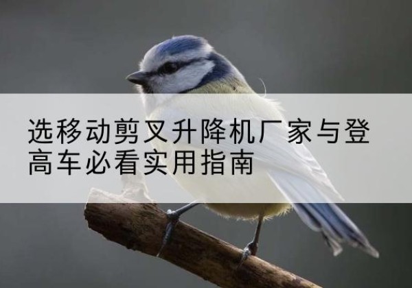 孝义电动升降机厂家-选移动剪叉升降机厂家与登高车必看实用指南